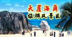 大欧派被搡的抖动海南三亚-天崖海角旅游风景区