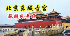 男人和女人艹逼中国北京-东城古宫旅游风景区